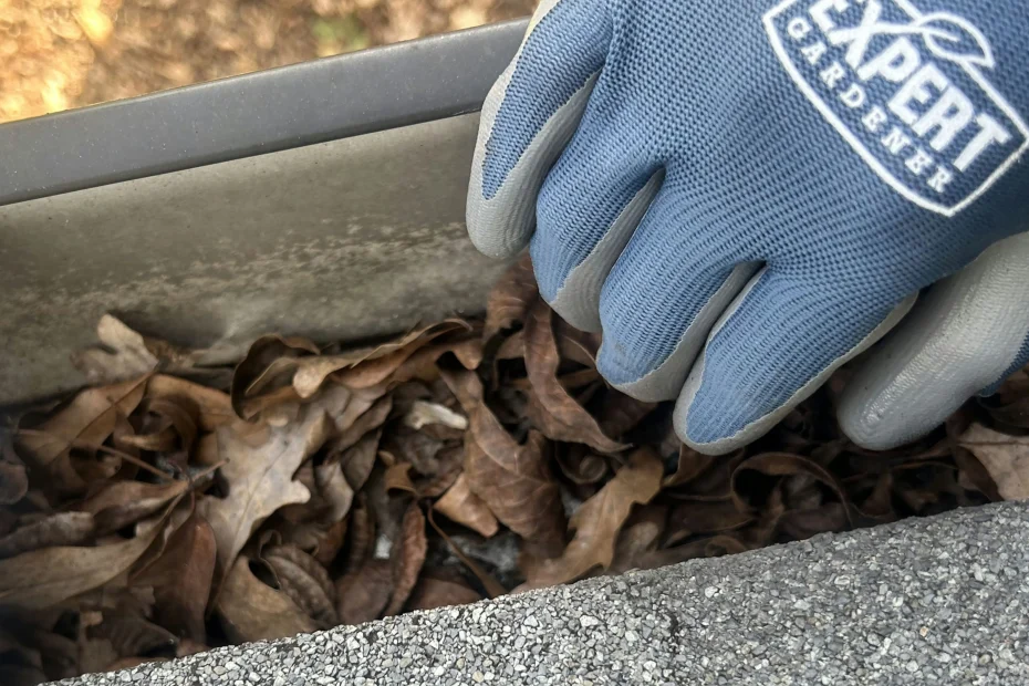 Gutter Cleaning Liberty Hill TX