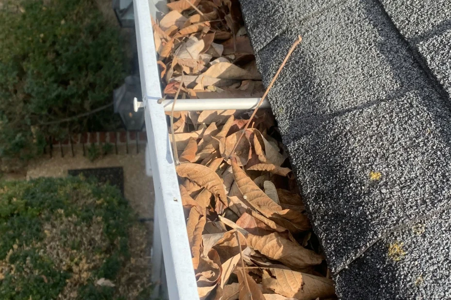 Gutter Cleaning Liberty Hill TX