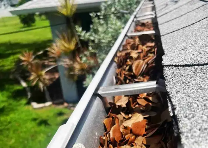 Gutter Cleaning Liberty Hill TX home page